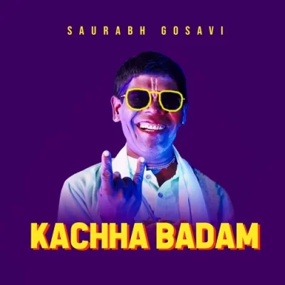 Kachha Badam Saurabh Gosavi Remix.mp3