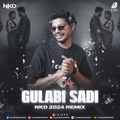 Gulabi Sadi Remix 2024 Nkd.mp3