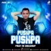 Pushpa Pushpa Smashup Pray M.mp3