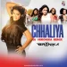 Chhaliya I Tashan Dj Veronika Remix.mp3