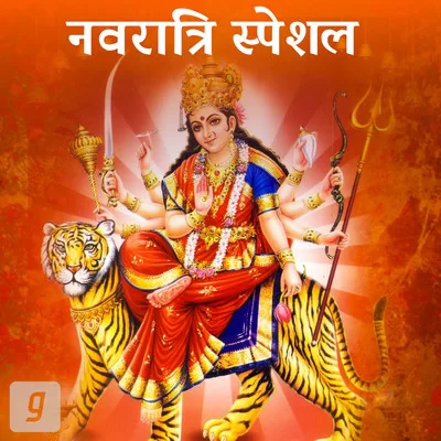 Jai Mata Di Jaikara Dhuni Navratri (Vibation Mix) DJ Ajay Nanpara.mp3